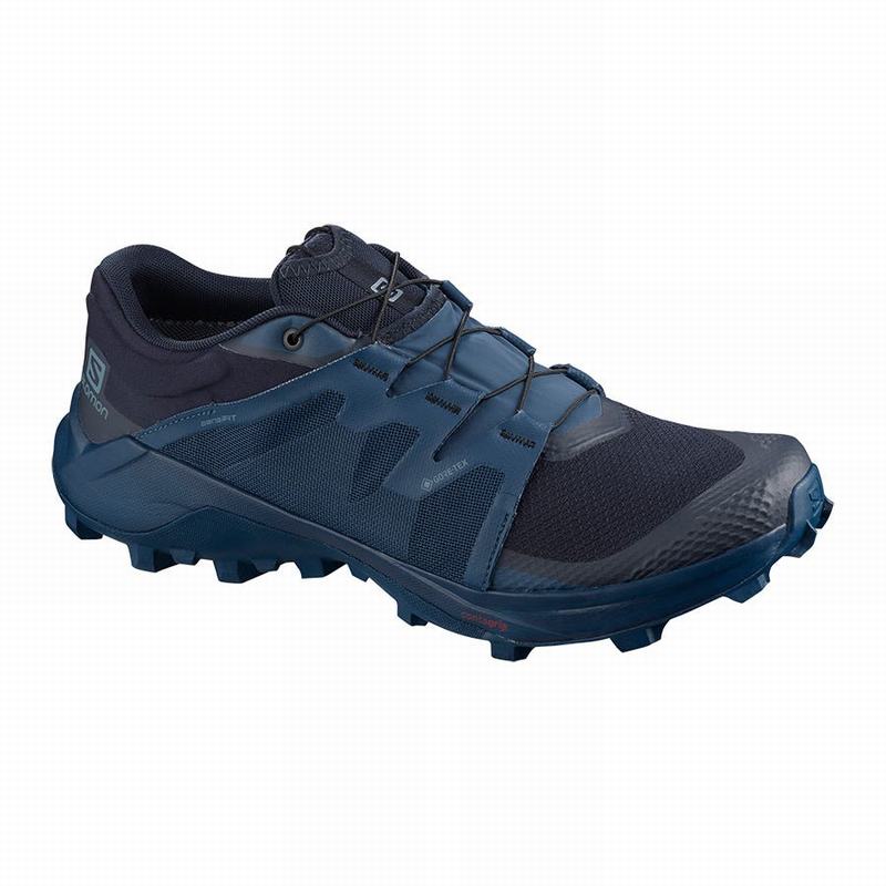 Salomon Singapore Mens Trail Running Shoes - WILDCROSS GTX Navy | 27681-FWUS